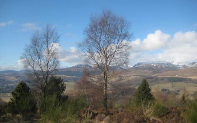 Newstead Bed And Breakfast