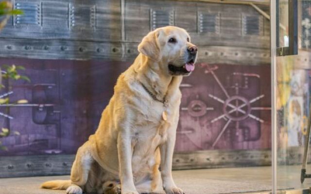 Beihai Oak Bi'an Resort Hotel (Yintan)