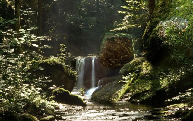 Pension Haus am Walde