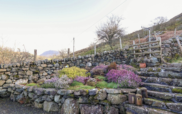 Tyn Y Graig