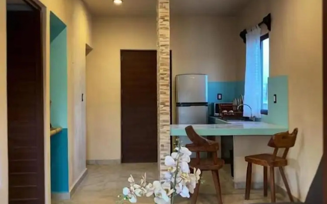 Macondo Raíz Holbox