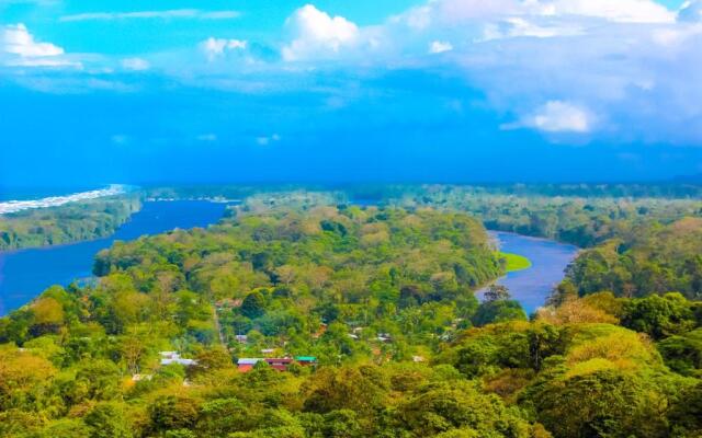 Hotel Tortuguero Beachfront