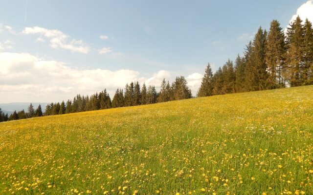 Berggasthof Sonne Imberg