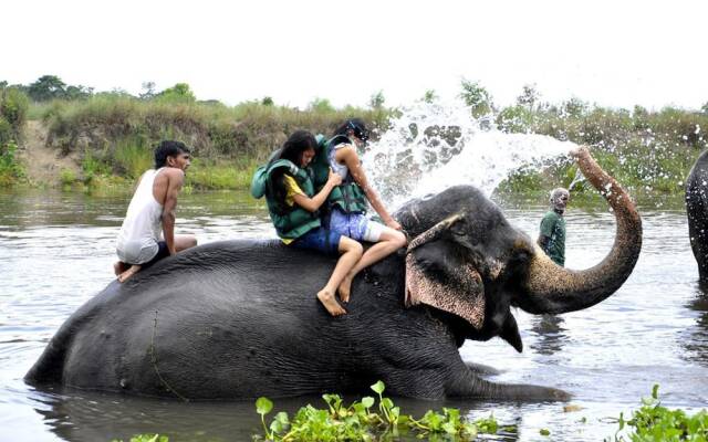 Chitwan Paradise Hotel