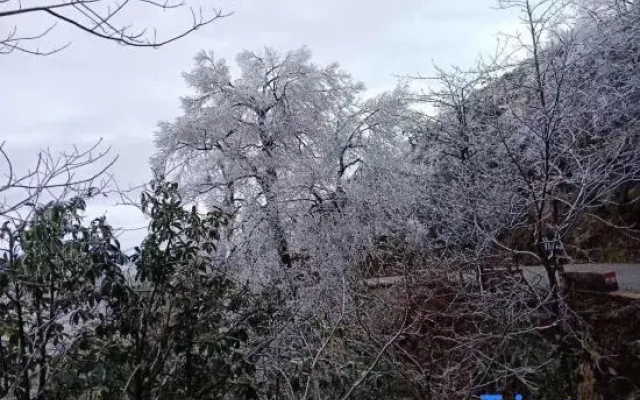 Xing'an Guoyue Hotel