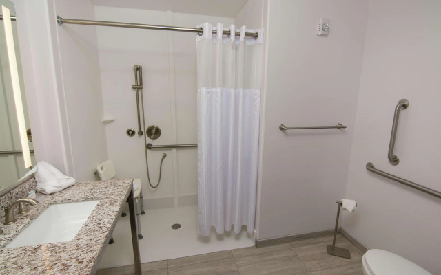 Hilton Garden Inn Tampa Suncoast Parkway