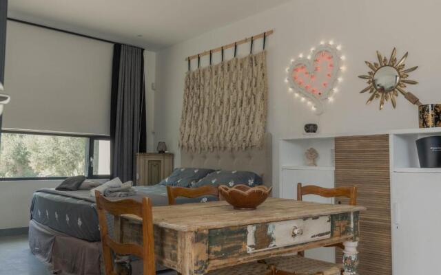 New Villa Aspri with Infinity Pool 1km from the sea
