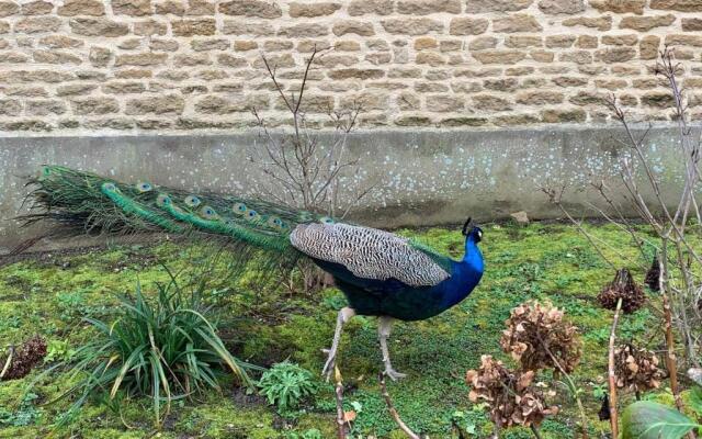 Studio Coeur de Luc/Mer