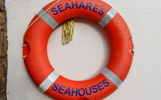 Seahares