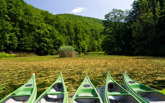 Rural Homestead Trenkovo