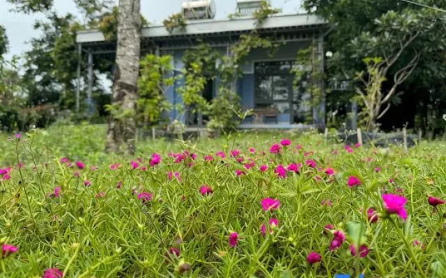 MyGarden Villa Binh Chau Hotspring