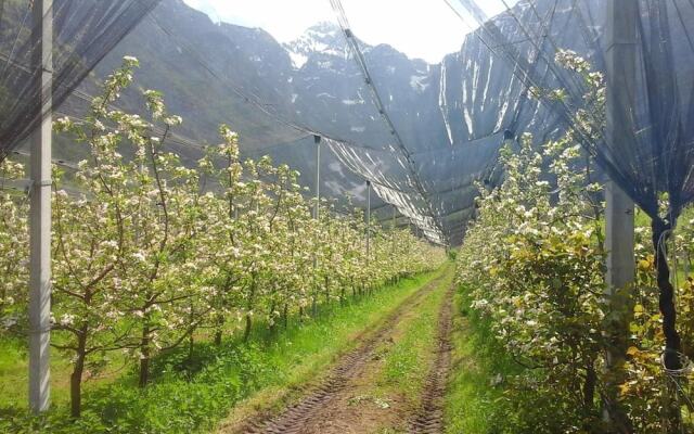 Agriturismo Pian Dei Tass