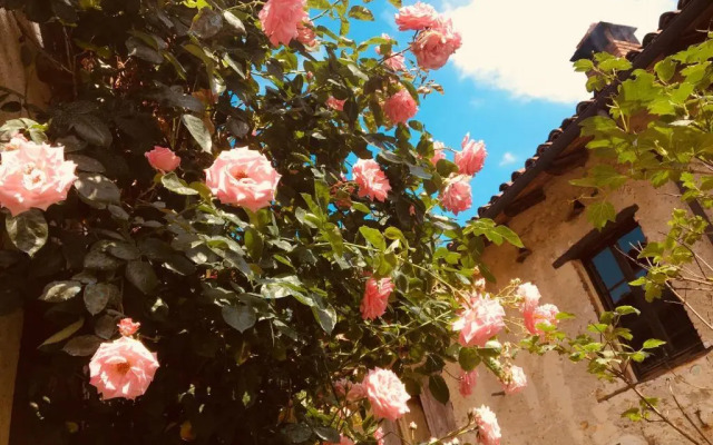 Agriturismo la Molina