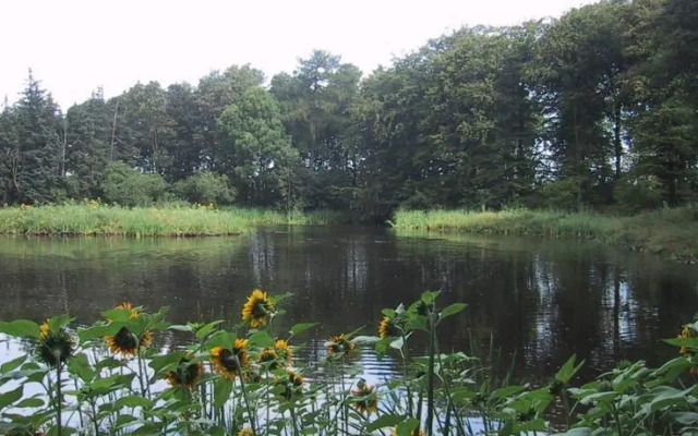 Sonnerupgaard B&B