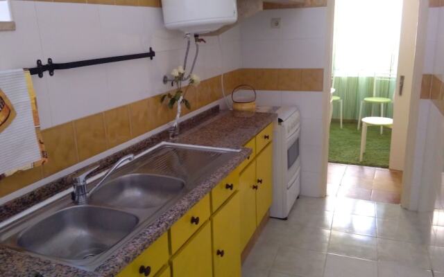 Cats House