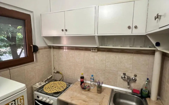Miha modern and central apartament Malul Mureșului