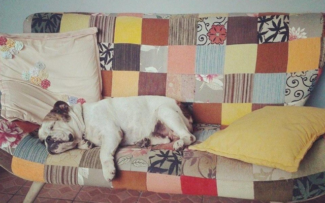 Retro House Hostel