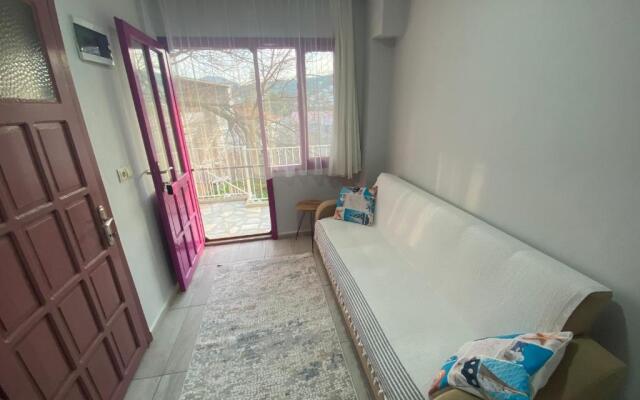 Rıdvan Apart Evleri