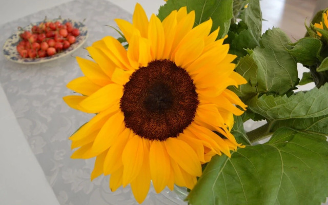 Modern Apartment Near Town Center in Klimmen