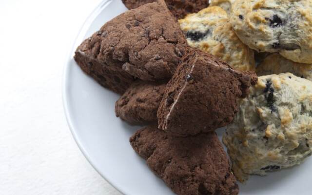 Scranton Seahorse Inn