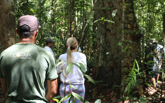 Amazon Ecopark Jungle Lodge