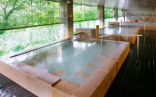 Ooedo Onsen Monogatari Premium Kinugawa Kanko Hotel