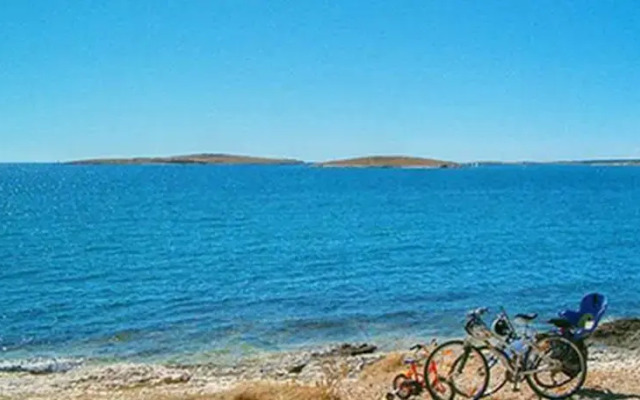 Palma Rosa