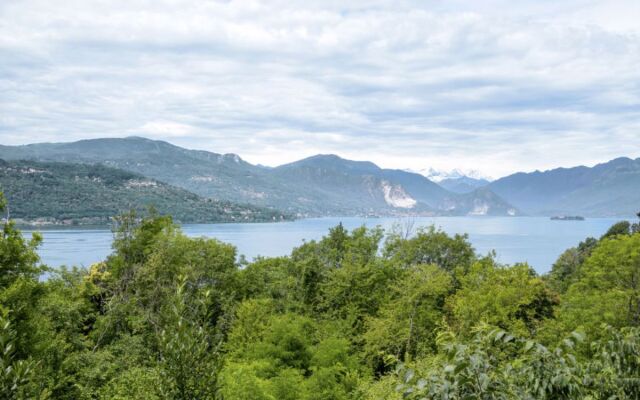 Nel Bosco (Lgi220)