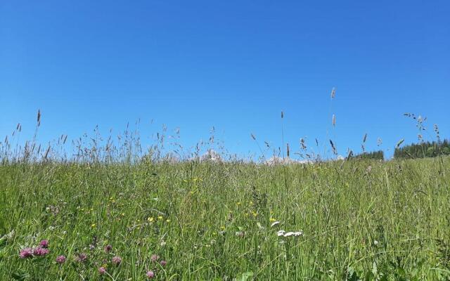BIO-Bauernhof Hatzbauer