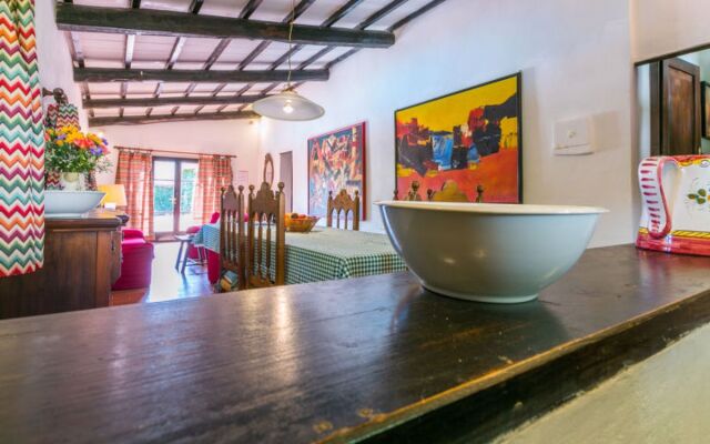 Bardeggiano - Caterina 4 (COL247)