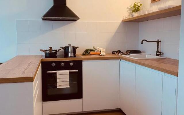 Braunegg 1