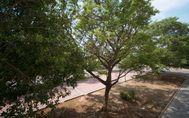 113 Beach and Trees - Alicante Holiday