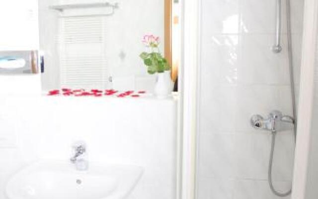 Guesthouse Avsenik