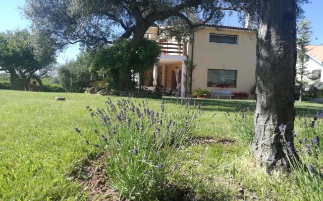 La Collina del Riccio