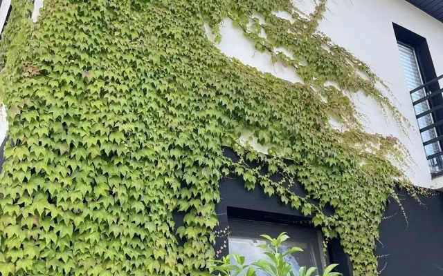 Дом с баней на Дагестанской, 5Б