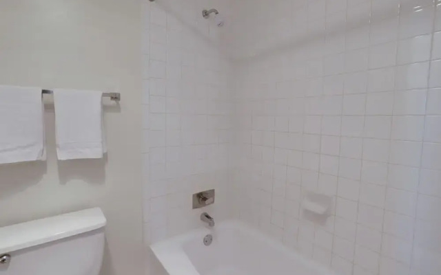 Stylish & Spacious 2BR in Crystal City