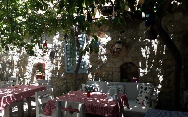 Kaktushan Otel