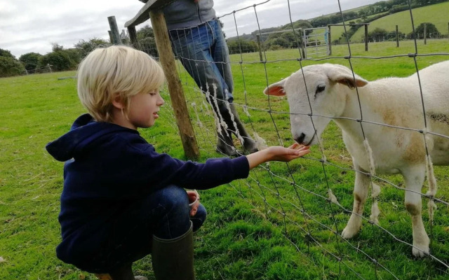 Higher Culloden Farm