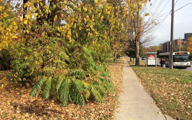 Richmond Manor Bed & Breakfast