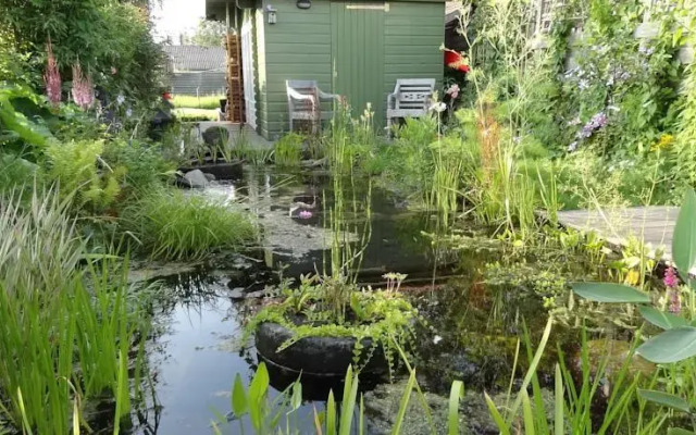 Amsterzonian B&B