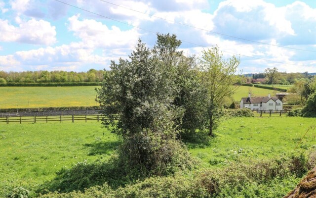Downs View Dairy