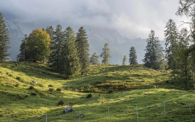 Ferienwohnungen Merzer