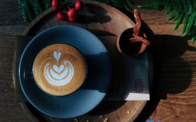 Ruralation MO⁺ Co-living Retreat, Chenjiapu,Songyang