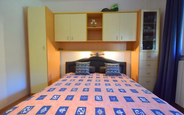 Apartment Micetic