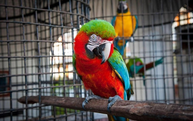 Hotel Boutique La Pergola