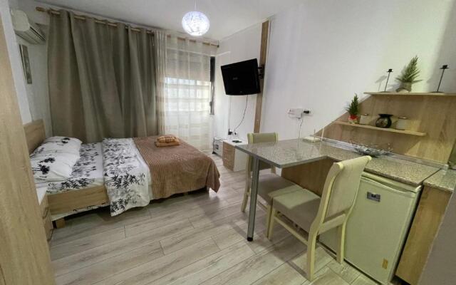 Downtown Modern Studio Apartment