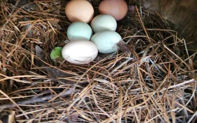 The White House on Freedom Way