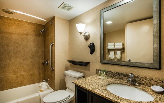 Holiday Inn Hasbrouck Heights-Meadowlands by IHG