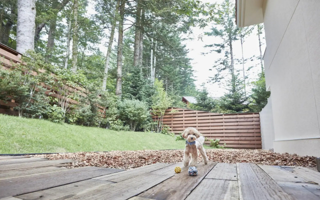 Le Chien Kyuu Karuizawa