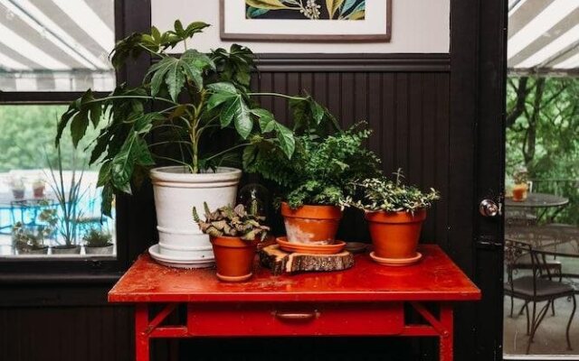 Rainbow Mountain Resort